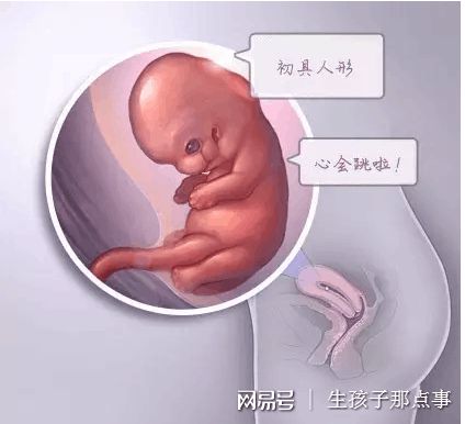 瑞柏国际医院
